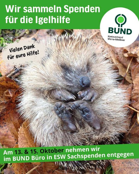Spendenaufruf Igelhilfe