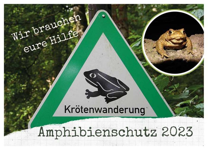 BUND Info Flyer Amphibienschutz, Seite 1
